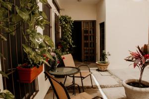 patio ze stołem, krzesłami i doniczkami w obiekcie Loft Fabio w mieście Aguascalientes