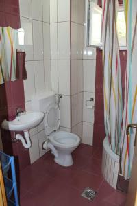 een badkamer met een toilet en een wastafel bij Apartmani Joca in Sutomore