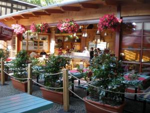 Restavracija oz. druge možnosti za prehrano v nastanitvi Hotel Saloon