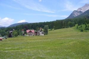 Příroda nedaleko apartmánu