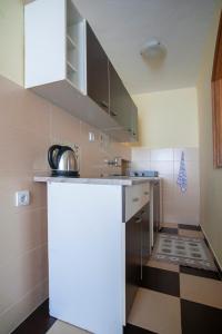 Kuchyň nebo kuchyňský kout v ubytování Apartmani Dačo