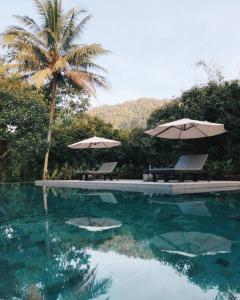 a swimming pool with two umbrellas and a palm tree at The Hidden Resort in Ranong