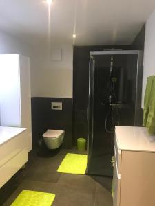 a bathroom with a shower and a toilet and a sink at Appartement Butterfly in Saas-Grund