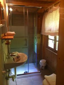 bagno con doccia in vetro e lavandino di Agriturismo Randis a Piano dʼArta