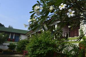 Vrt u objektu Phi Phi View Point Resort
