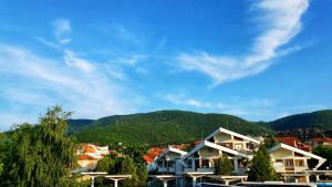 索科礦泉村的住宿－Vila Simic，一座有房屋和山丘的城镇