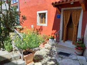 Zahrada ubytování Guesthouse Villa Marija