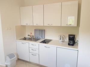 Kuchyň nebo kuchyňský kout v ubytování Apartments Margita