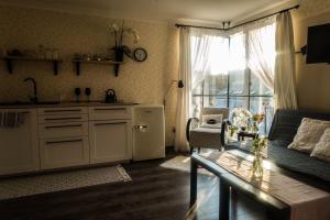 a kitchen and living room with a couch and a window at Apartmány u Bašty in Hlučín