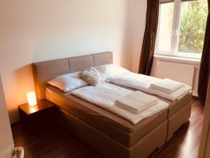1 cama con 2 almohadas en una habitación con ventana en 25h GARDEN Apartment PLUS private Beach, en Neusiedl am See