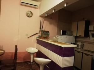Kuchyň nebo kuchyňský kout v ubytování Apartments Svetlana