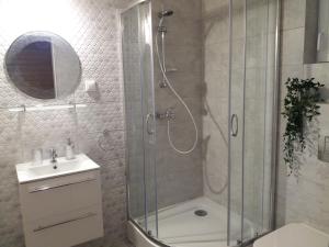 a bathroom with a shower and a toilet and a sink at Szary domek nad jeziorem in Kołczewo