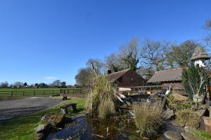 un estanque frente a un granero y un edificio en Oak tree stables cottage, en Birmingham