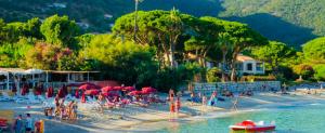 Afbeelding uit fotogalerij van Mazet « Domaine de la pinède » in Le Lavandou