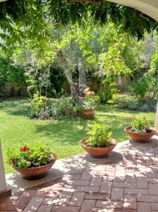 A garden outside Villa Pontes