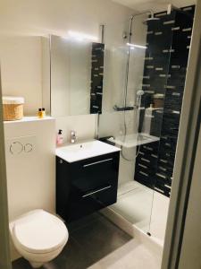 a bathroom with a shower and a toilet and a sink at Mazet « Domaine de la pinède » in Le Lavandou