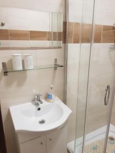 a bathroom with a sink and a shower at Apartamenty u Tatiany in Międzywodzie +22 photos