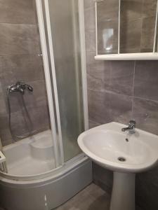 a bathroom with a sink and a shower at Apartments and Rooms Pavla in Senj