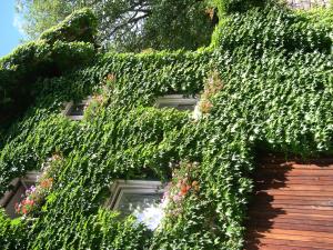 A garden outside Obergereuth Hof 1288