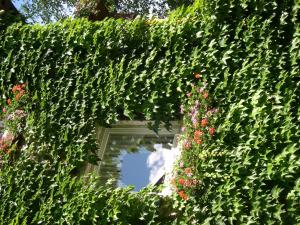 A garden outside Obergereuth Hof 1288