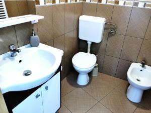 La salle de bains est pourvue d'un lavabo blanc et de toilettes. dans l'établissement Pensiunea Roua Florilor, à Anina