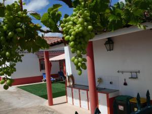 a house with a bunch of grapes hanging from a tree at Moradia perto dos Palmares in Lagos