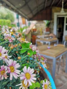 a bush with pink flowers in front of a table at Locanda Miranda in Tellaro