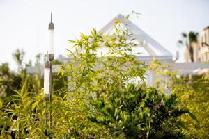 A garden outside La Blanche Resort & Spa