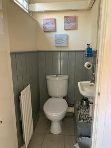 a small bathroom with a toilet and a sink at Whitby Wave breaker studio in Whitby
