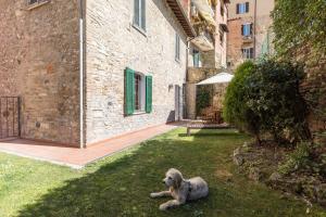 a dog laying in the grass next to a building at Giardino in Centro in Perugia