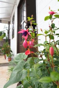 Foto sihtkohas Kalaw asuva majutusasutuse Hinode Hotel ဟိနောဒေ့ဟိုတယ် galeriist +37 fotot