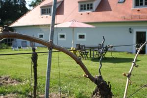 una rama de árbol pegada a una valla en un patio en Weingut Haus Steinbach, en Radebeul