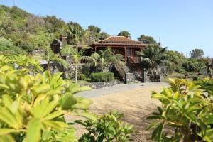 a house on a hill with palm trees at Casa Magic in Breña Baja