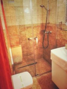 y baño con ducha y puerta de cristal. en Penzion Fontis Terrae en Trenčianske Teplice