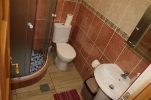 y baño con aseo y lavamanos. en Guest House Jadran Pol en Petrovac na Moru