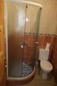 La salle de bains est pourvue d'une douche et de toilettes. dans l'établissement Guest House Jadran Pol, à Petrovac na Moru