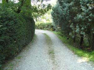 Zahrada ubytování Agriturismo La Querce