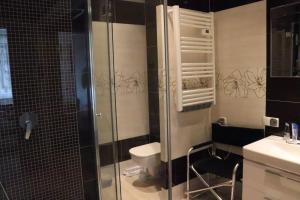 ウケンチンにあるPati Ferien Apartmensのバスルーム(シャワー、トイレ、洗面台付)