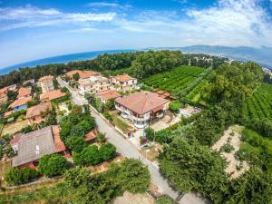 an aerial view of a house with a vineyard at B&B Pineta Mare in Lamezia Terme