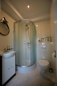 a bathroom with a shower and a toilet and a sink at Siedlisko Vincent in Szydłów +40 photos