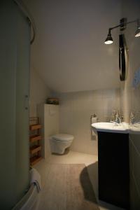 a bathroom with a toilet and a sink at Siedlisko Vincent in Szydłów