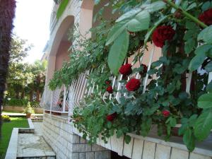 Zahrada ubytování House Marić