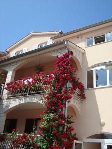 a bunch of red flowers on the side of a building at House Marić in Poreč