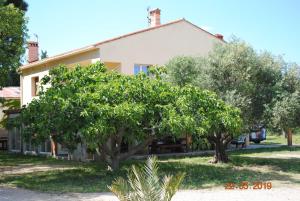 uma casa com duas árvores em frente em Mas de la Vignassa em Le Soler