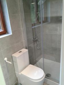 a bathroom with a white toilet and a shower at Holiday Home Lipa in Vrbovsko