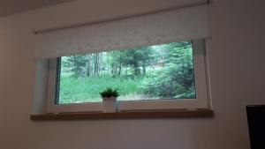 Fotografie z fotogalerie ubytování Apartmán Liška v Peci - apartmánový dům Horalka, Pec pod Sněžkou v destinaci Pec pod Sněžkou