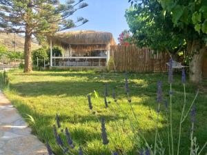 A garden outside Alegria Kefalonia