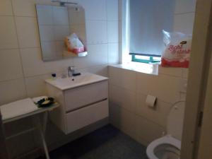 Bilik mandi di Tinyhouse op Terschelling