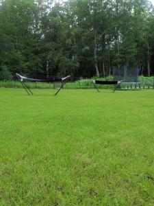 two volleyball nets in a field of grass at Leśne Zacisze w Nadolu in Nadole