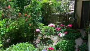 Zahrada ubytování B&B Fleurs